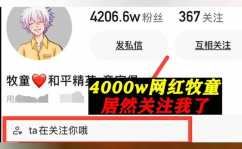 网红关注我,揭秘关注背后的秘密与魅力
